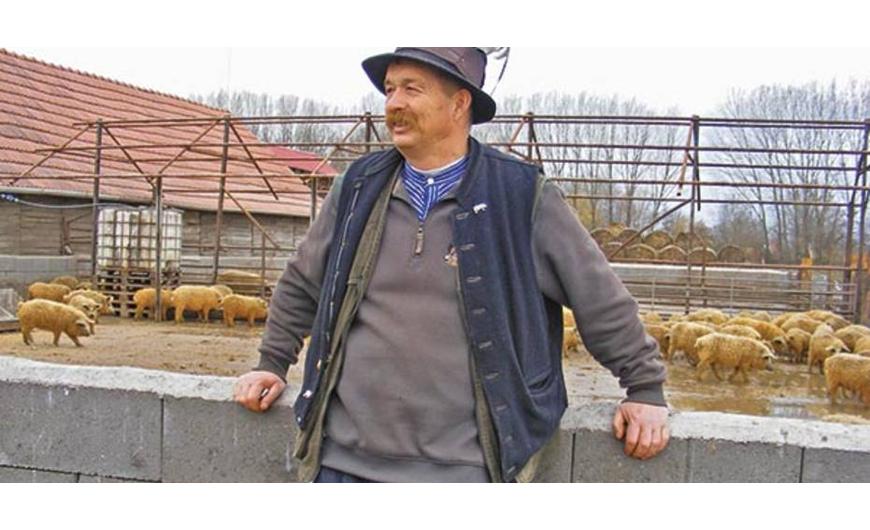 Virágoskút Rózsával